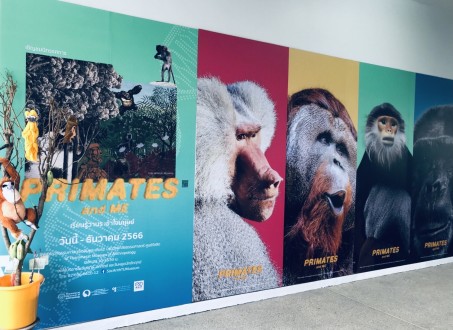 PRIMATES and ME: เรียนรู้วานร เข้าใจมนุษย์