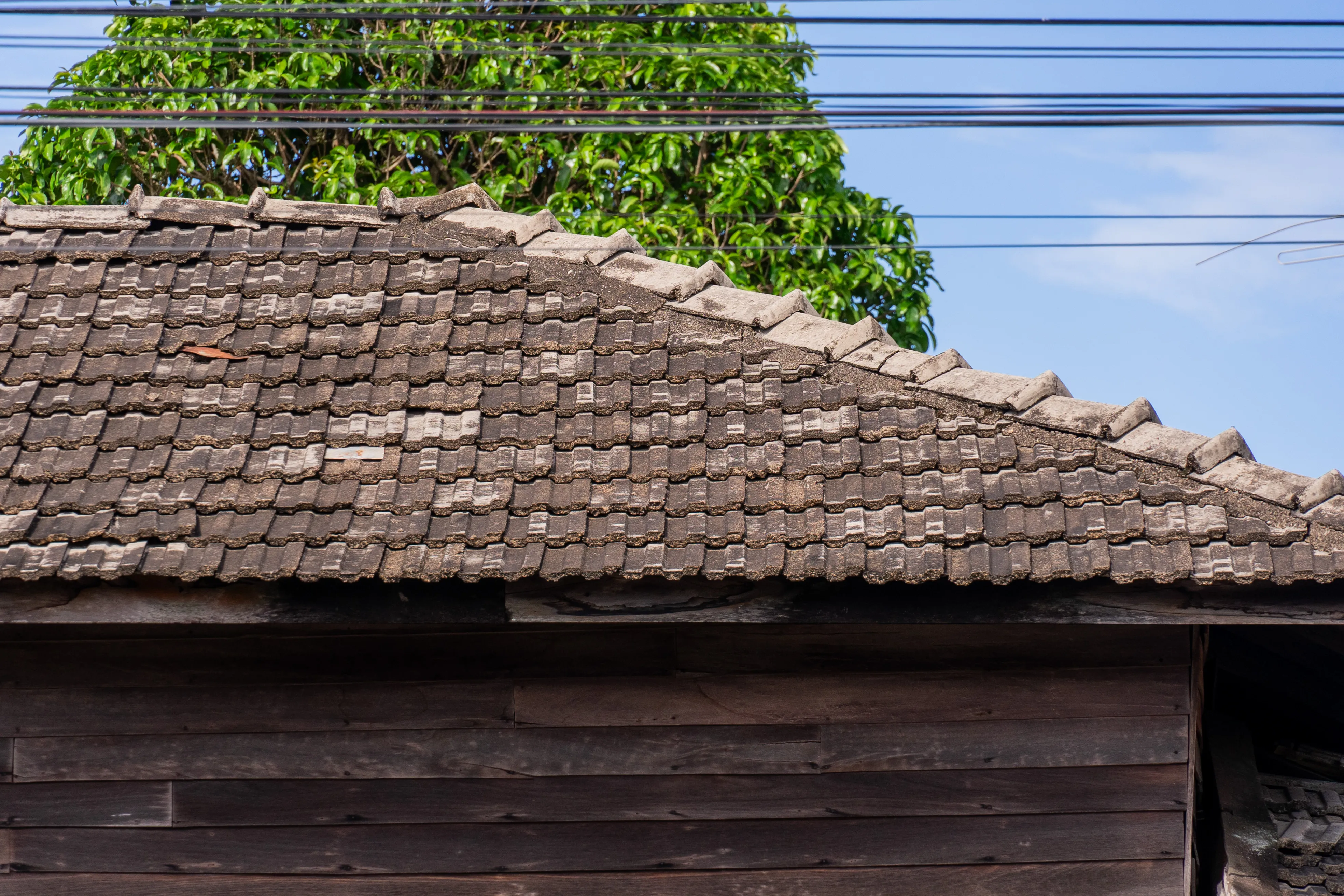 Gallery 1
