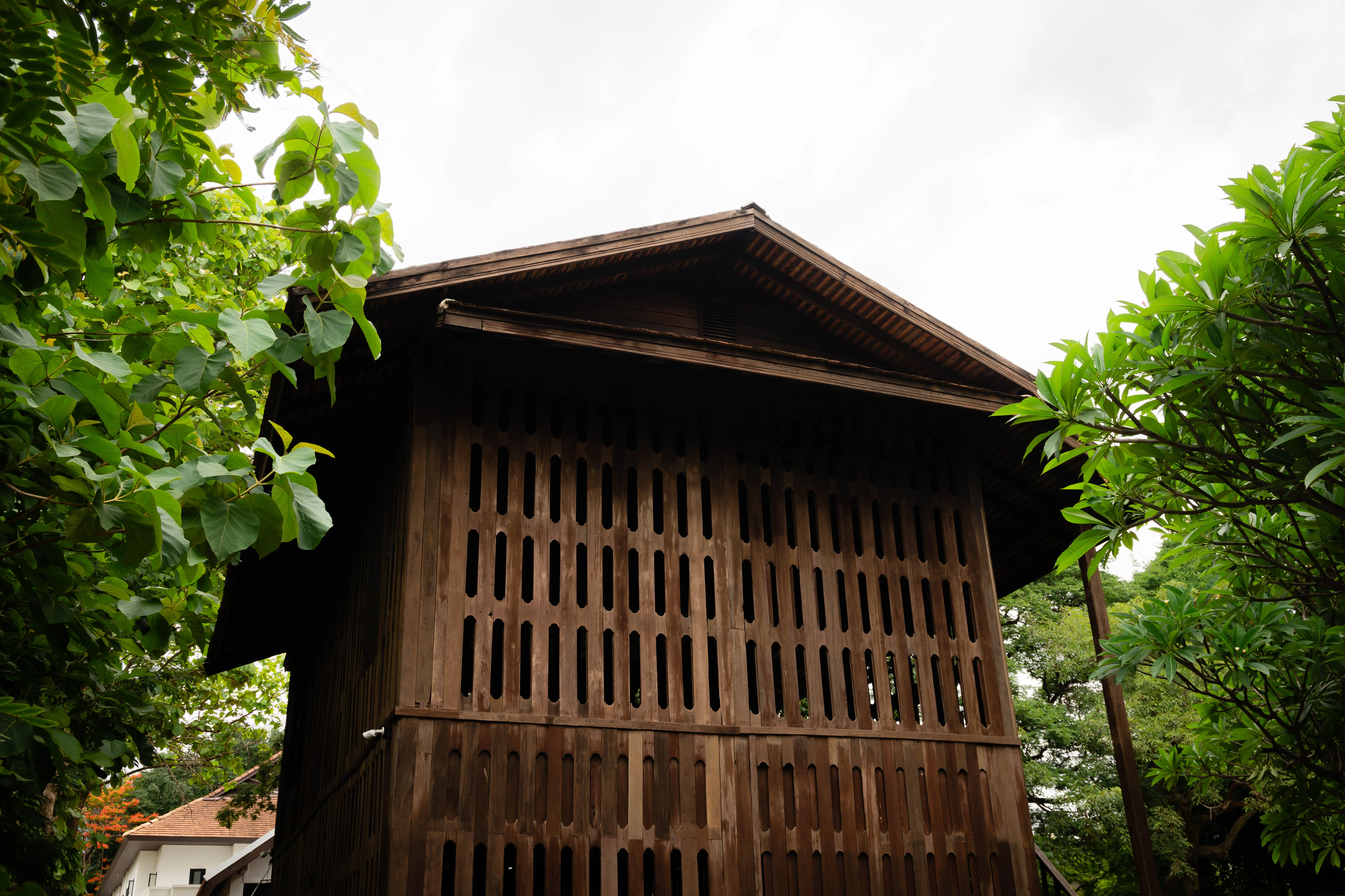 Gallery 6