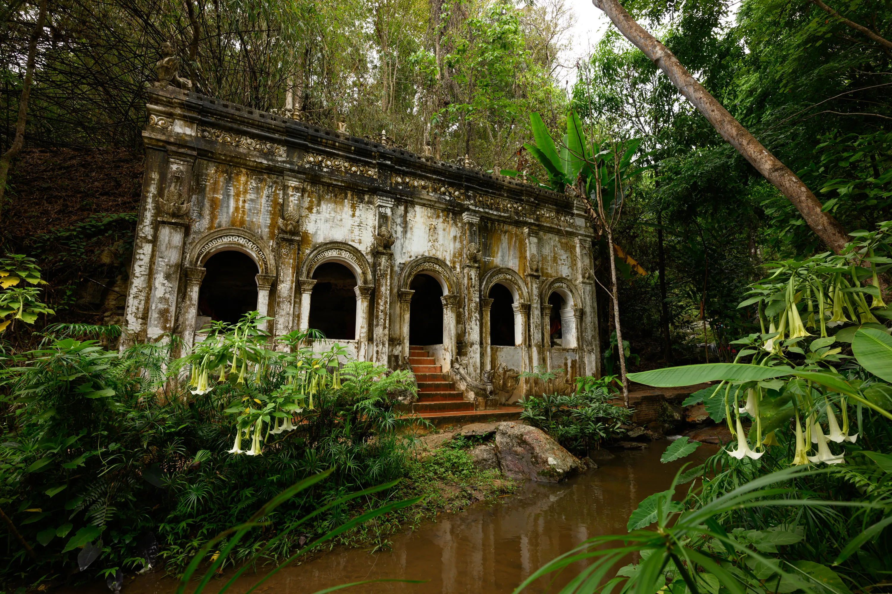 Gallery 5