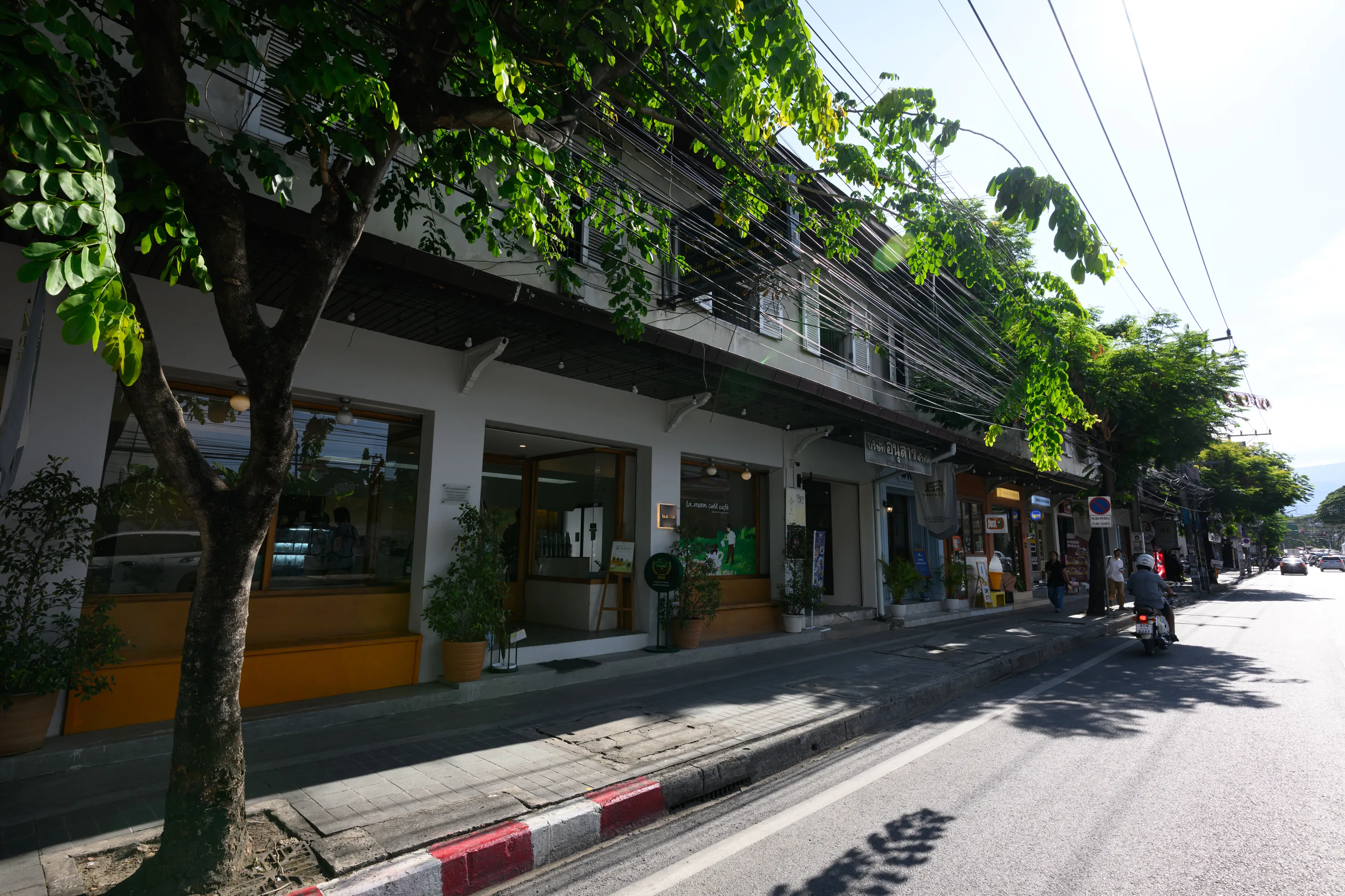 Gallery 4