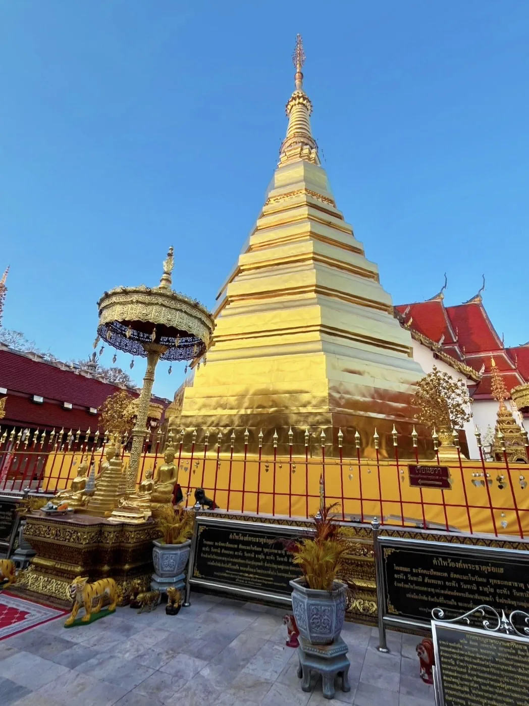 พระธาตุปีขาล