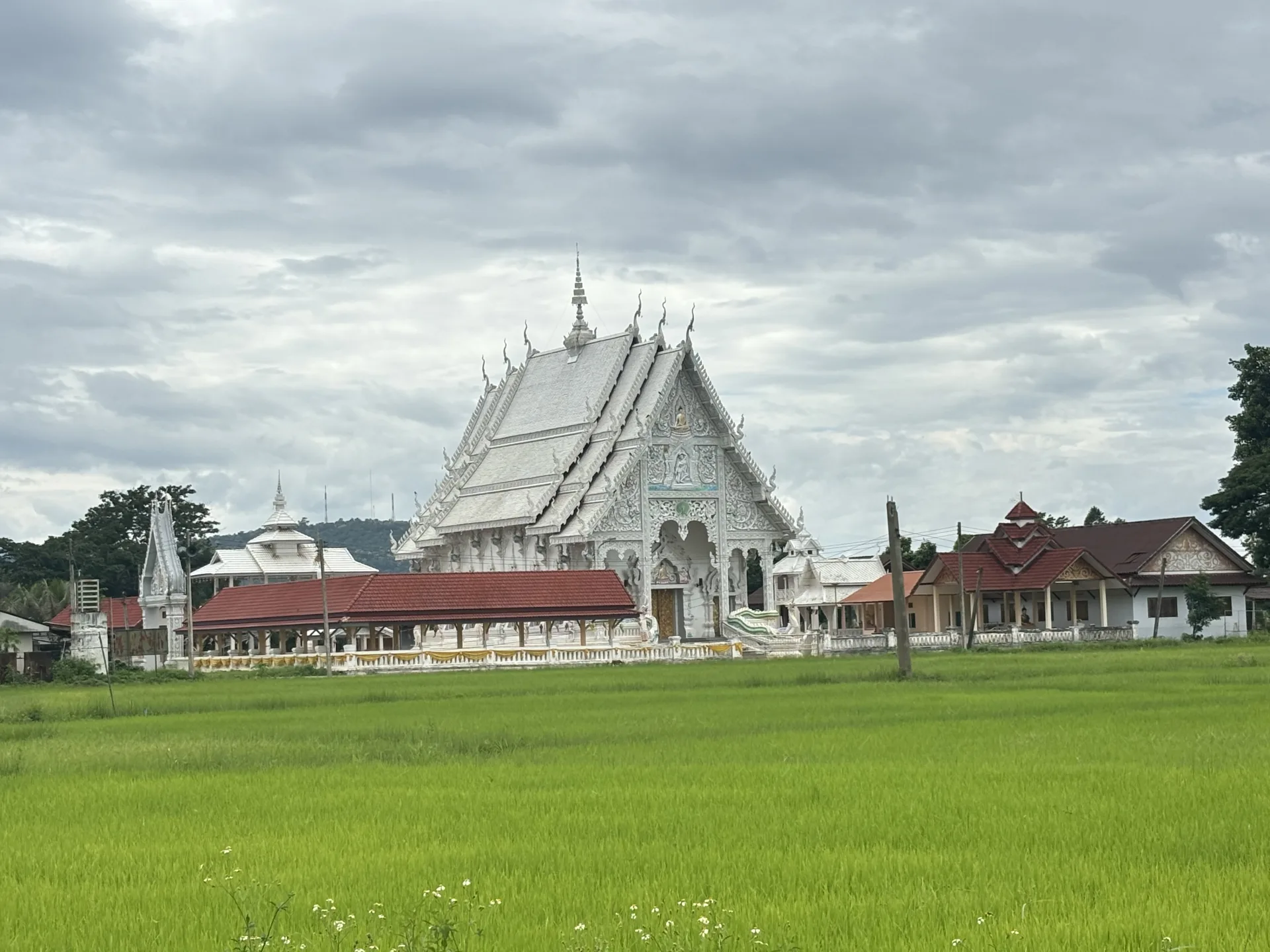วัดสวยคู่ทุ่งนา