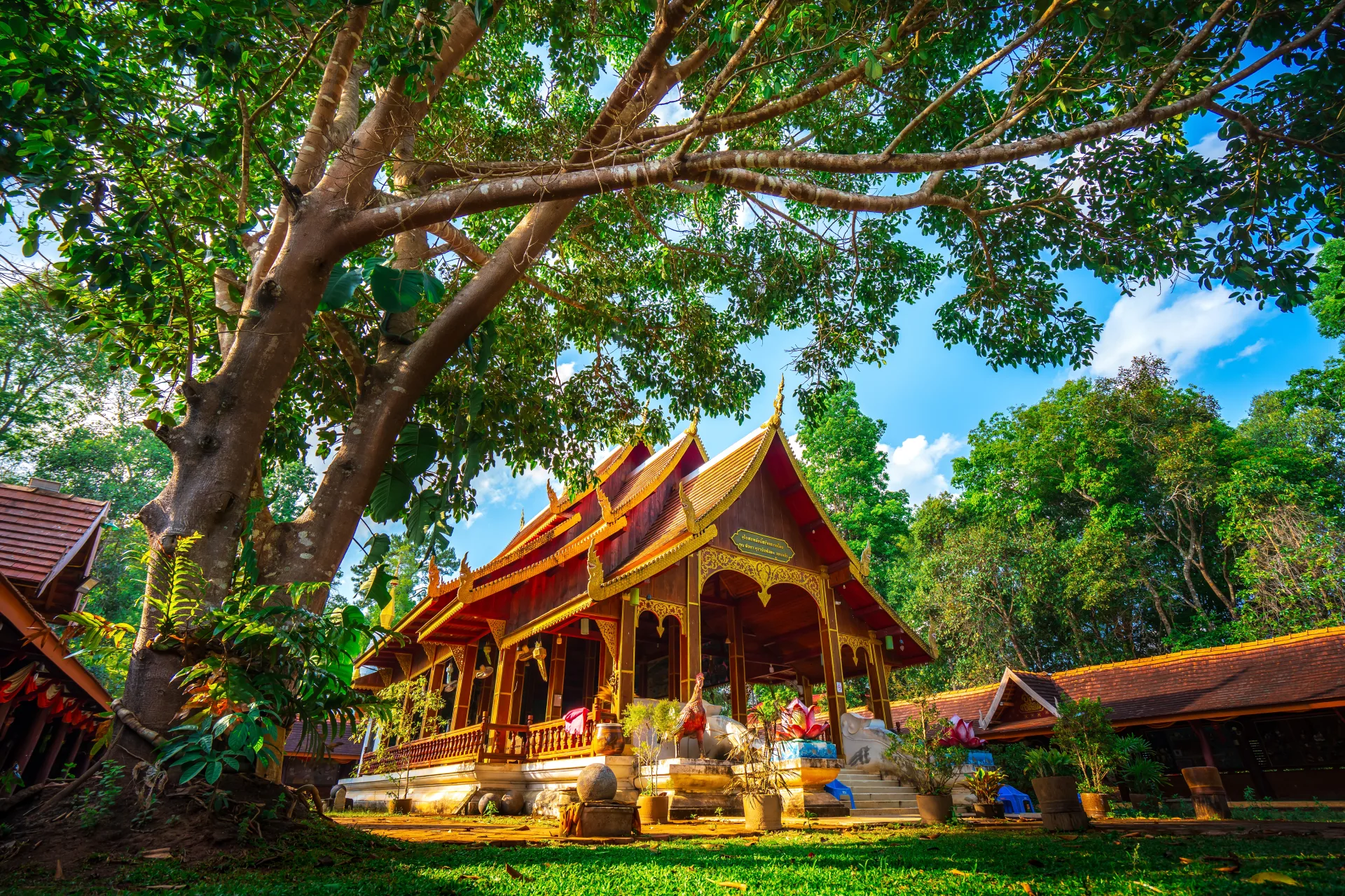 วัดห้วยบง