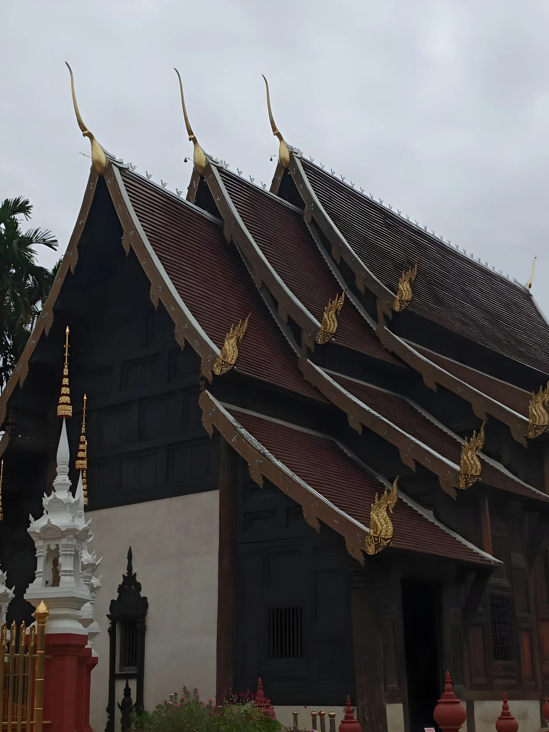 สัจธรรมใต้ผืนฟ้า
