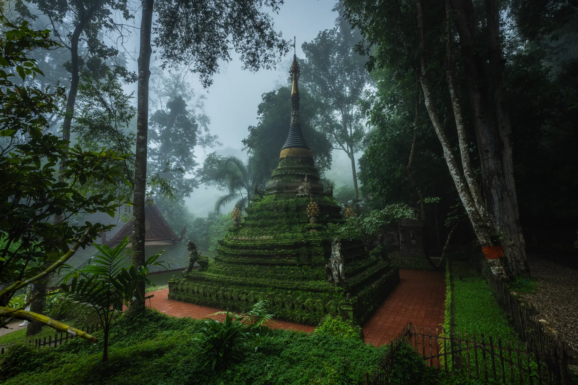 รอยศรัทธาในพงไพร