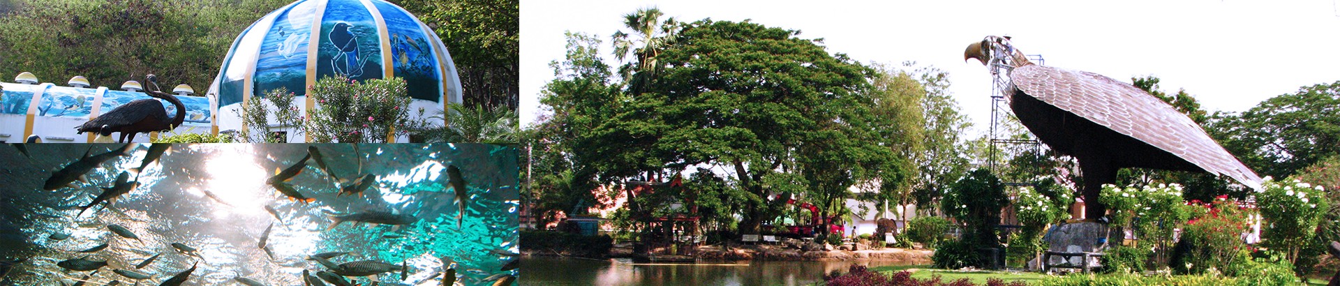สวนนกชัยนาท - Image 1