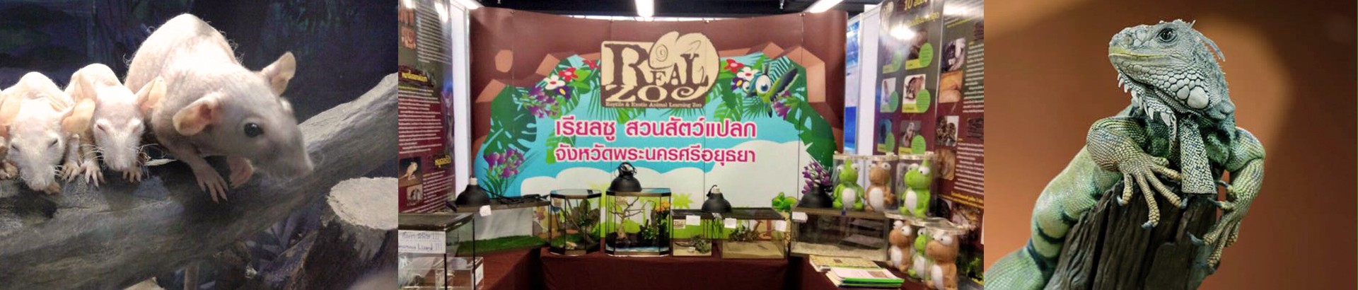 เรียลซู สวนสัตว์แปลก