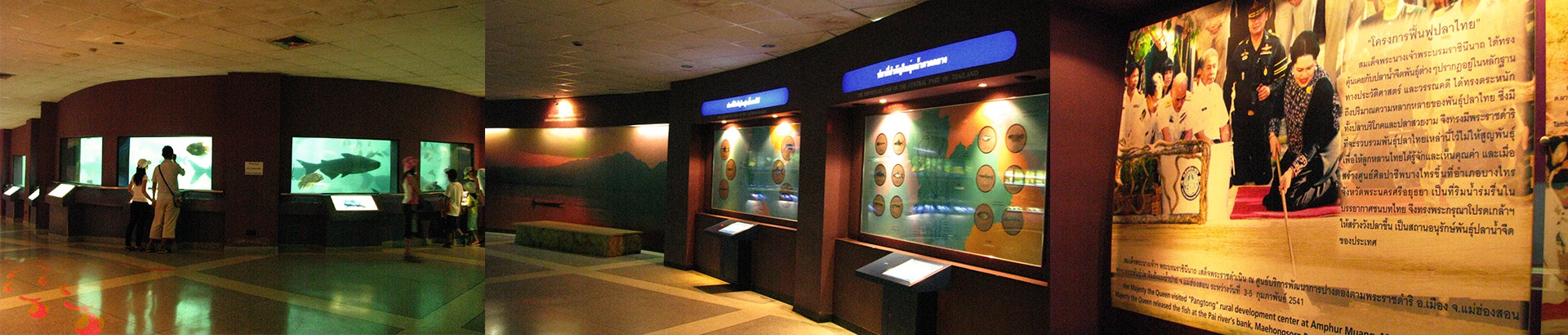 สถานแสดงพันธุ์สัตว์น้ำจืดวังปลา