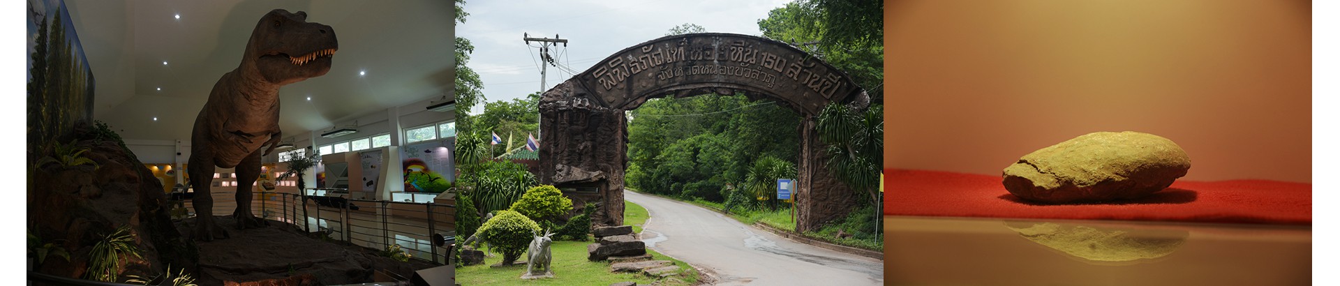 พิพิธภัณฑ์หอยหิน 150 ล้านปีและไดโนเสาร์โนนทัน