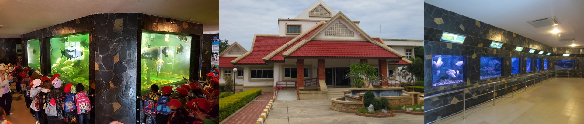 สถานแสดงพันธุ์สัตว์น้ำ เขื่อนป่าสักชลสิทธิ์
