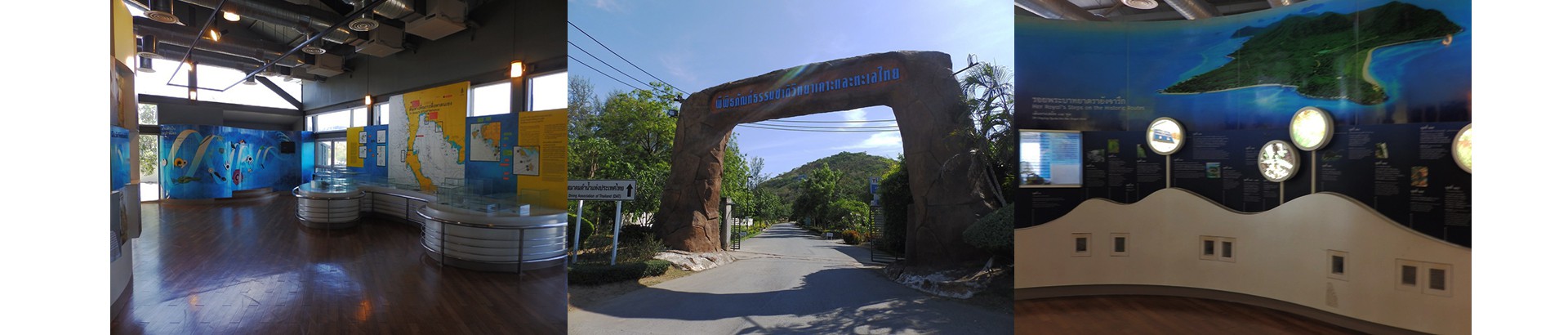 พิพิธภัณฑ์ธรรมชาติวิทยาหมู่เกาะและทะเลไทย