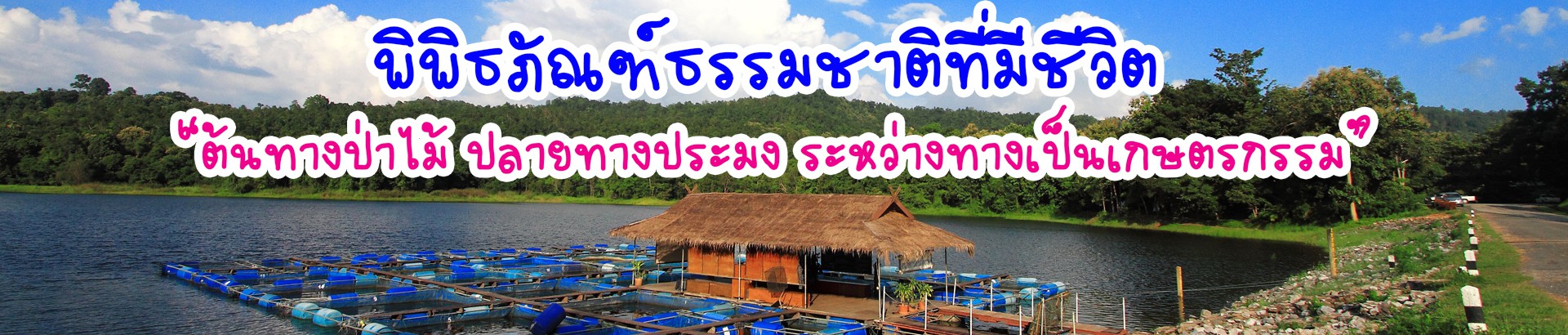 ศูนย์ศึกษาการพัฒนาห้วยฮ่องไคร้อันเนื่องมาจากพระราชดำริ