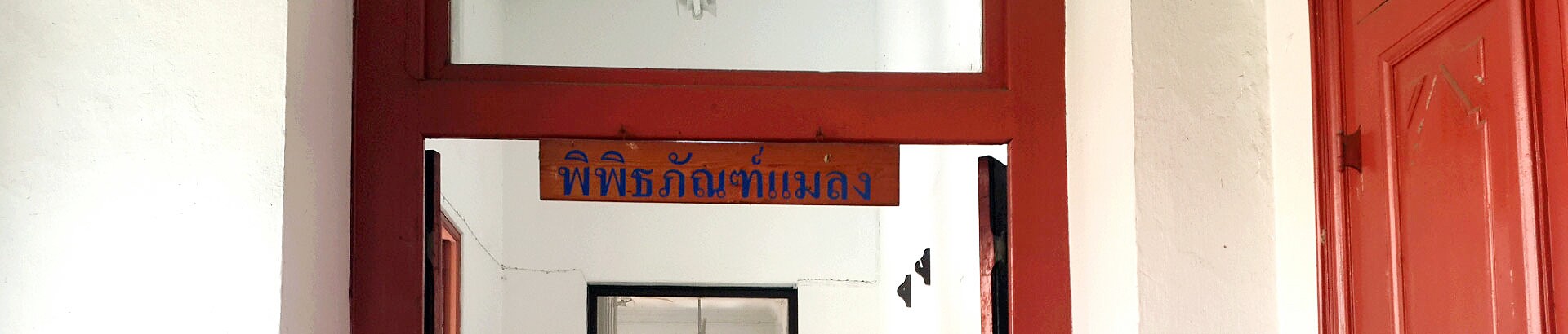 พิพิธภัณฑ์แมลง จุฬาลงกรณ์มหาวิทยาลัย