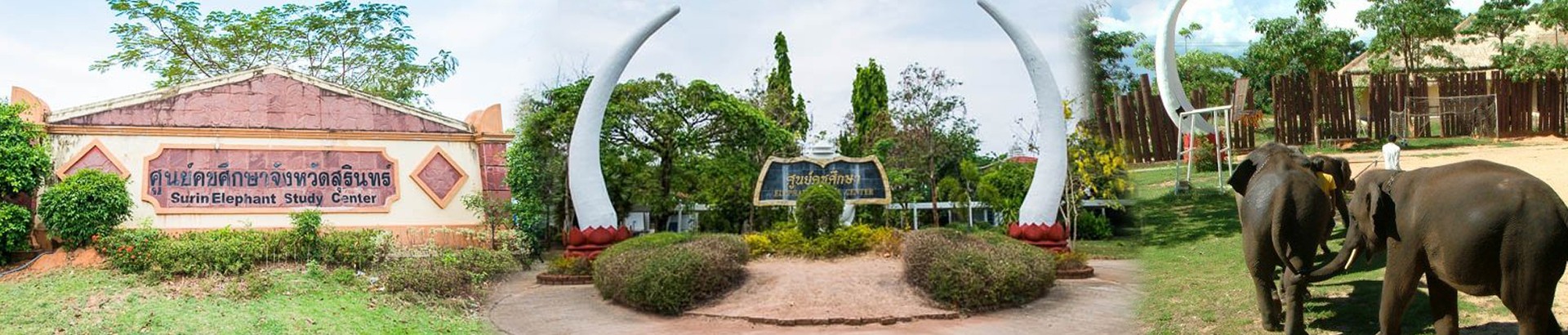 ศูนย์คชศึกษา