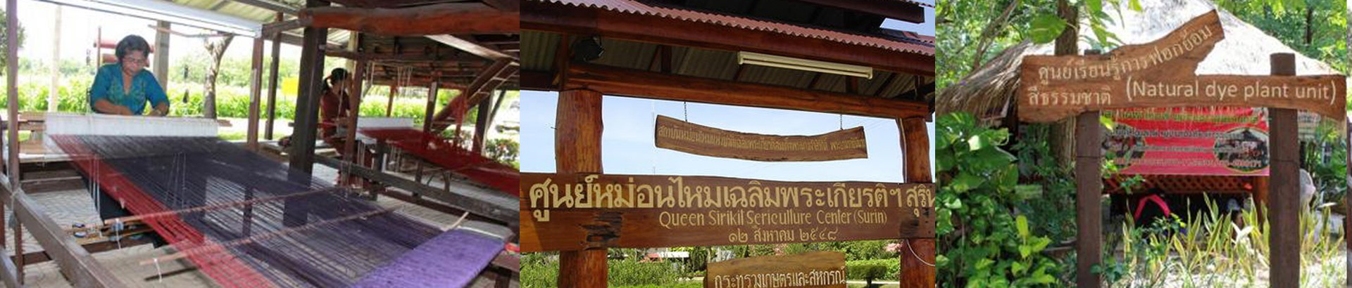 ศูนย์หม่อนไหมเฉลิมพระเกียรติสมเด็จพระนางเจ้าสิริกิติ์พระบรมราชินีนาถ สุรินทร์