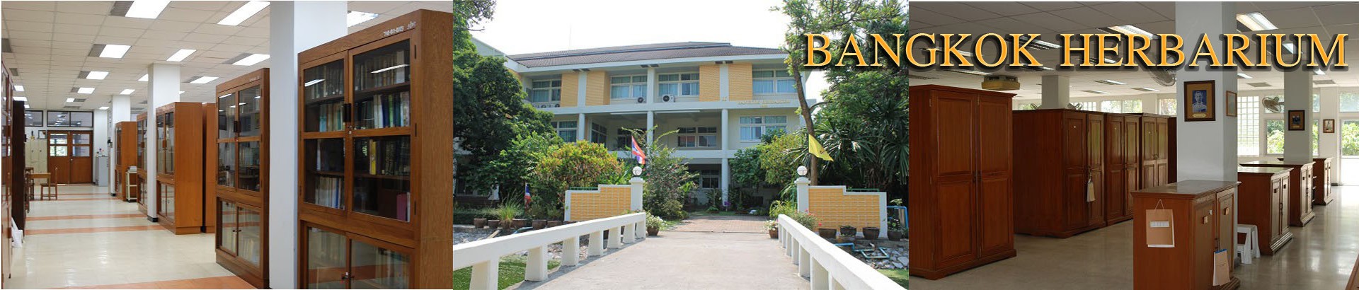 พิพิธภัณฑ์พืชกรุงเทพ