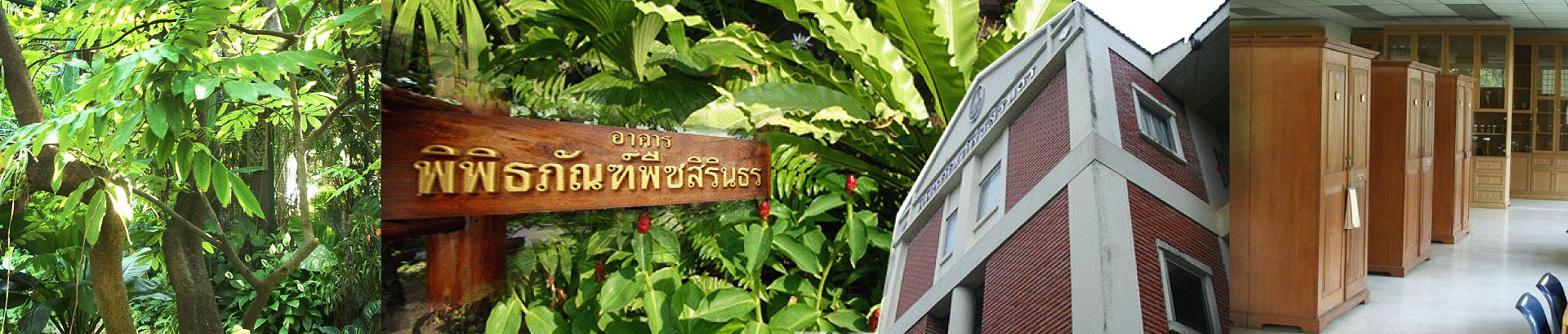 พิพิธภัณฑ์พืชสิรินธร