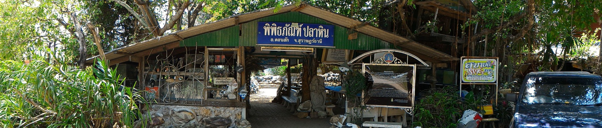 พิพิธภัณฑ์ปลาหิน