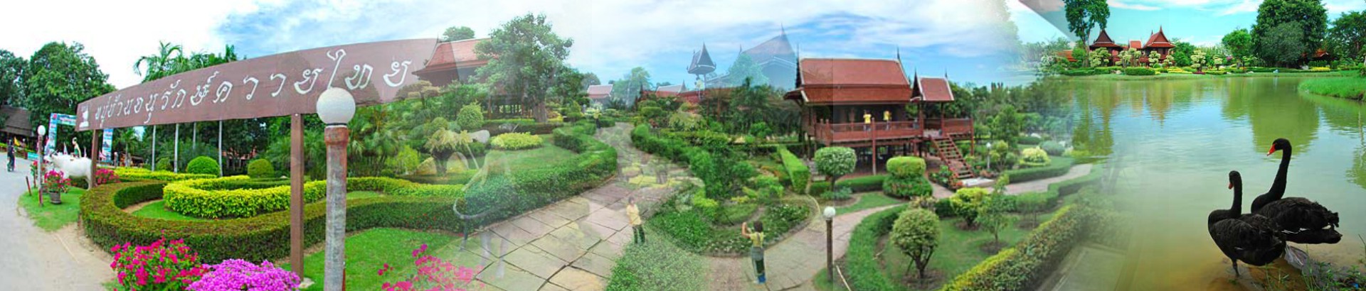 หมู่บ้านอนุรักษ์ควายไทย