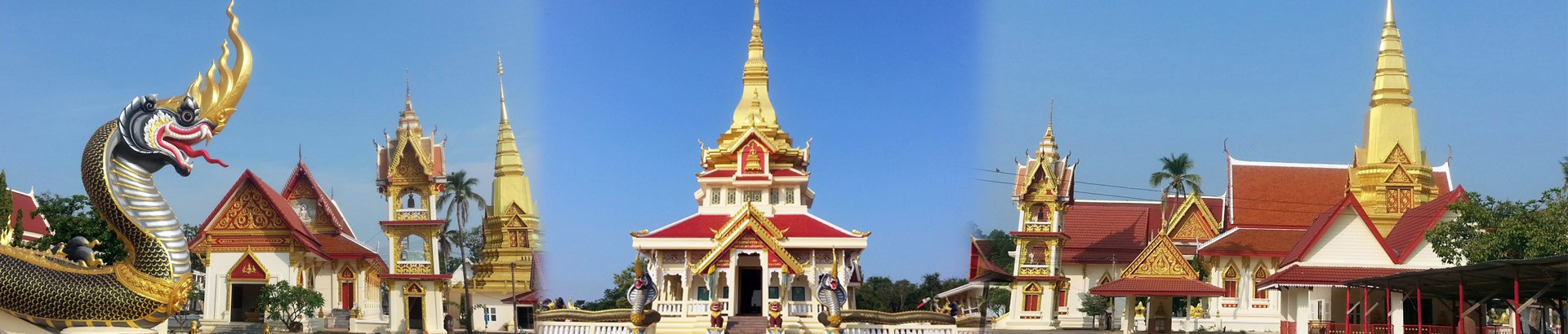 พิพิธภัณฑ์หลวงตาพวง