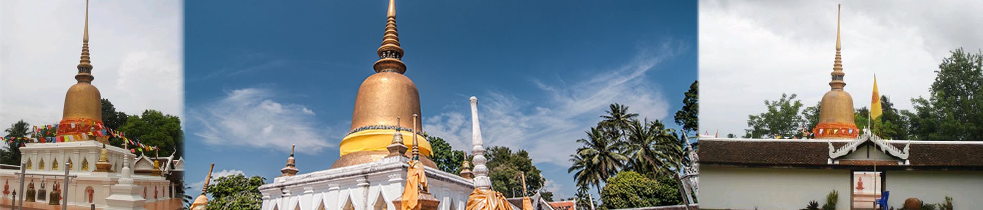 พิพิธภัณฑ์วัดพระธาตุสวี - Image 1