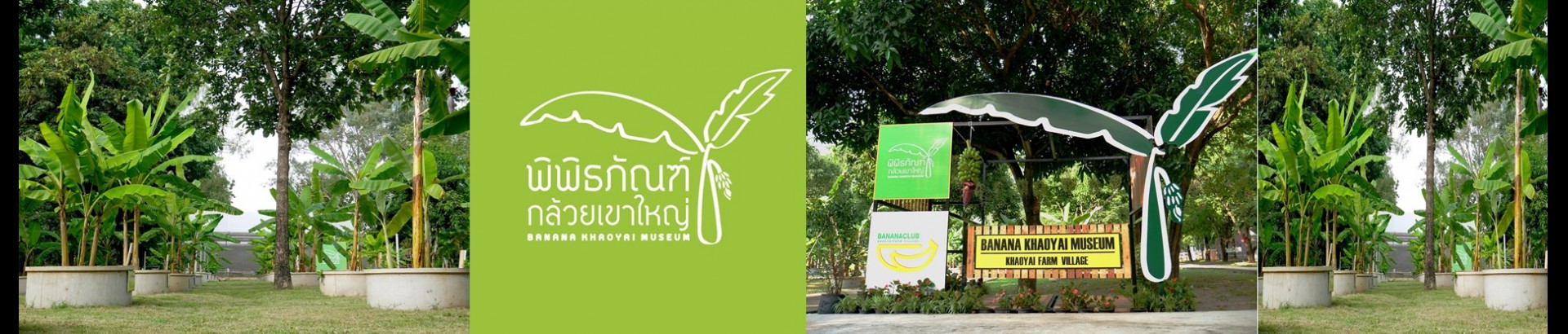 พิพิธภัณฑ์กล้วยเขาใหญ่