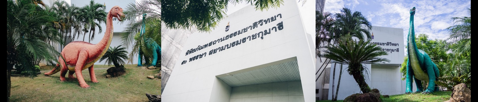 พิพิธภัณฑสถานธรรมชาติวิทยา ๕๐ พรรษา สยามบรมราชกุมารี