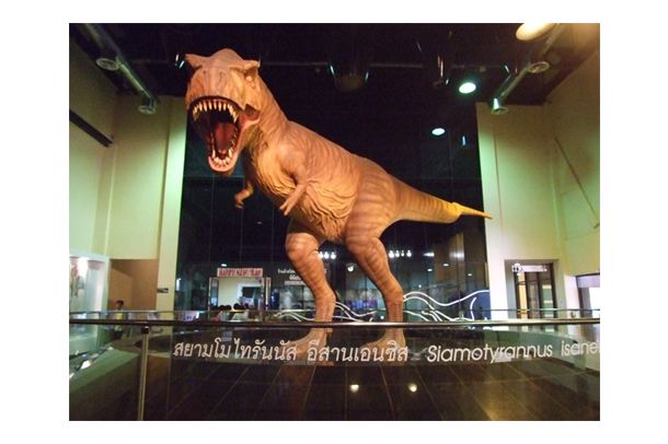 พิพิธภัณฑ์สิรินธร - Image 4