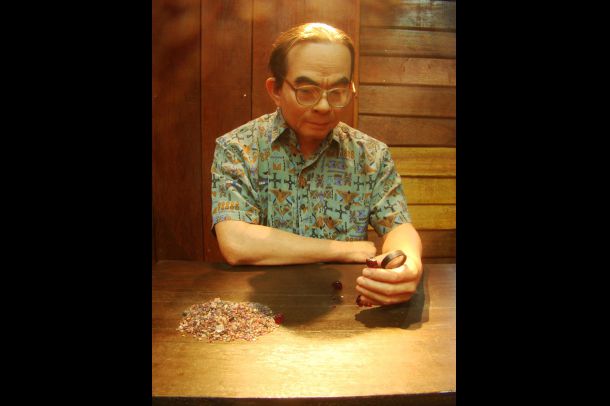 พิพิธภัณฑ์เมืองอัญมณี - Image 4