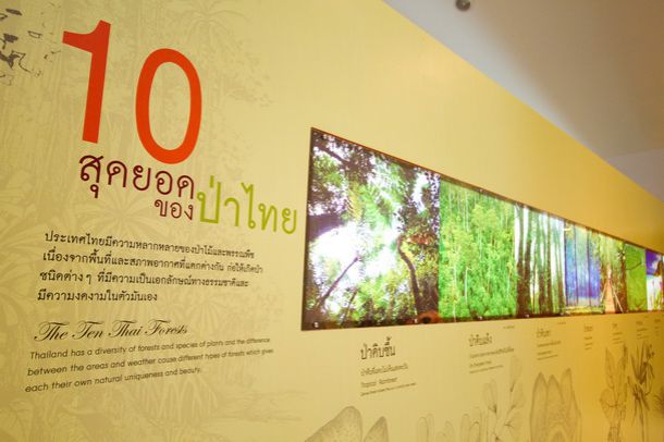 สวนพฤกษศาสตร์สมเด็จพระนางเจ้าสิริกิติ์ - Image 3