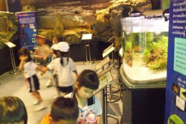 สถานแสดงพันธุ์สัตว์น้ำกรุงเทพฯ - Image 4