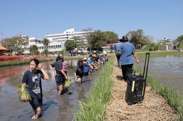 ศูนย์เรียนรู้โครงการพระราชดำริ โรงเรียนข้าวและชาวนา - Image 3