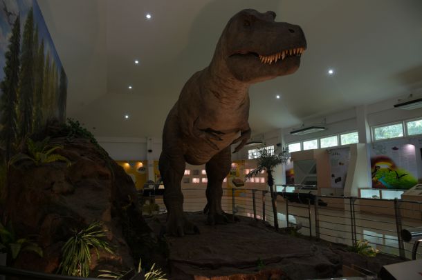 พิพิธภัณฑ์หอยหิน 150 ล้านปีและไดโนเสาร์โนนทัน - Image 3