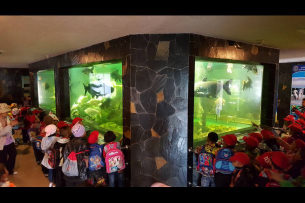 สถานแสดงพันธุ์สัตว์น้ำ เขื่อนป่าสักชลสิทธิ์ - Image 4