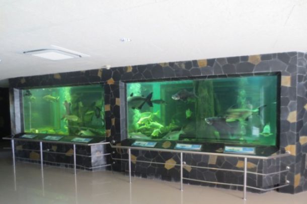 สถานแสดงพันธุ์สัตว์น้ำ เขื่อนป่าสักชลสิทธิ์ - Image 3