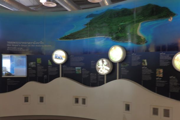 พิพิธภัณฑ์ธรรมชาติวิทยาหมู่เกาะและทะเลไทย - Image 4