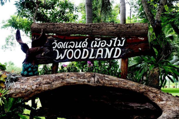 วู้ดแลนด์ เมืองไม้ - Image 3