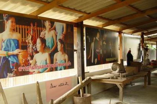พิพิธภัณฑ์ปานถนอม - Image 5