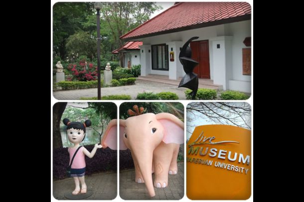 สถานอารยธรรมศึกษา โขง - สาละวิน มหาวิทยาลัยนเรศวร - Image 5