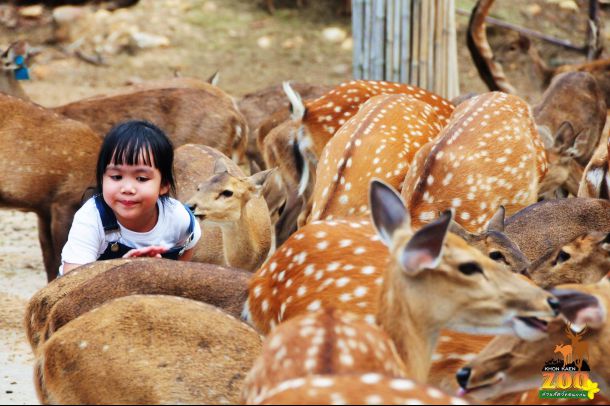 สวนสัตว์ขอนแก่น - Image 4