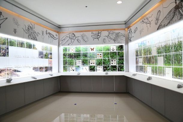 พิพิธภัณฑ์ธรรมชาติวิทยา อพ.สธ. - มหาวิทยาลัยขอนแก่น - Image 5