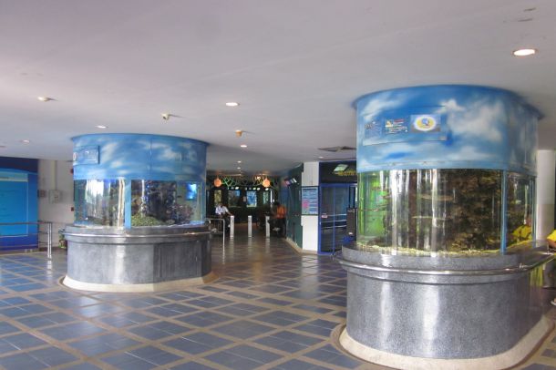 สถานแสดงพันธุ์สัตว์น้ำระยอง - Image 4