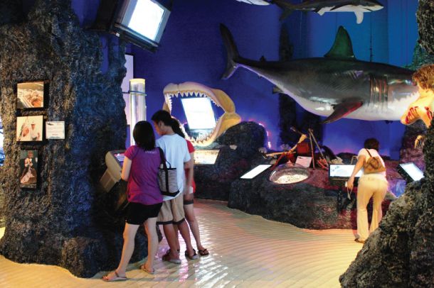 พิพิธภัณฑ์ ริบลีส์  เชื่อหรือไม่ - Image 6