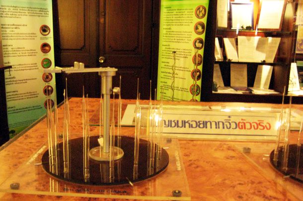 พิพิธภัณฑ์หอยทากของไทย - Image 6