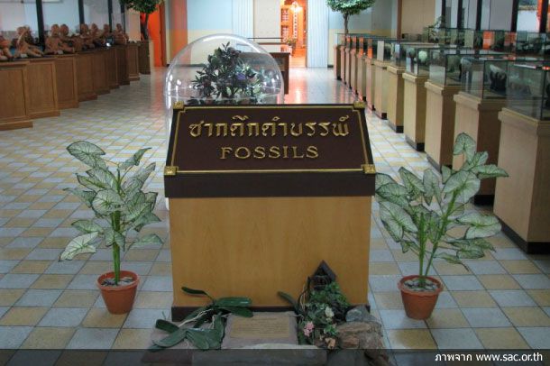 พิพิธภัณฑ์ภายในโรงเรียนเซนต์คาเบรียล - Image 5