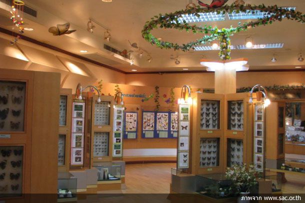 พิพิธภัณฑ์ภายในโรงเรียนเซนต์คาเบรียล - Image 2