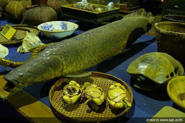 พิพิธภัณฑ์พื้นบ้านสาขลา - Image 5