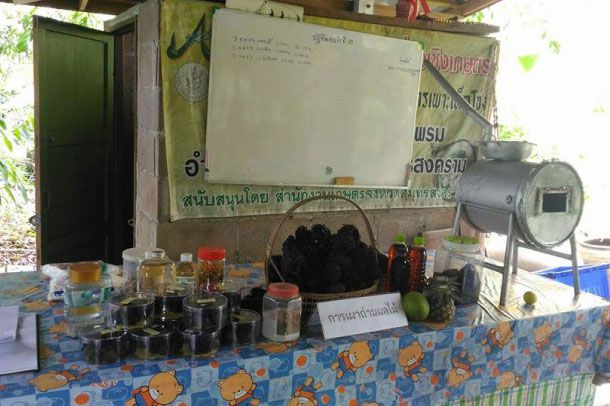 ศูนย์การเรียนรู้มหาวิชชาลัยภูมิปัญญาท้องถิ่น จังหวัดสมุทรสงคราม - Image 3