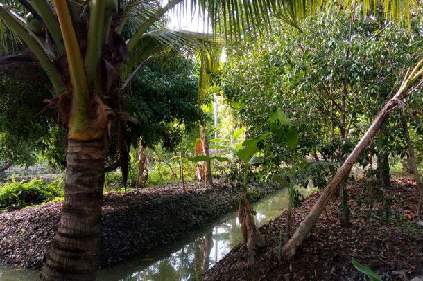 ศูนย์การเรียนรู้มหาวิชชาลัยภูมิปัญญาท้องถิ่น จังหวัดสมุทรสงคราม - Image 6